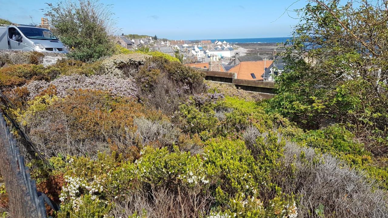 Myrtle Cottage Johnshaven Dış mekan fotoğraf